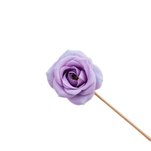 Lavender rose